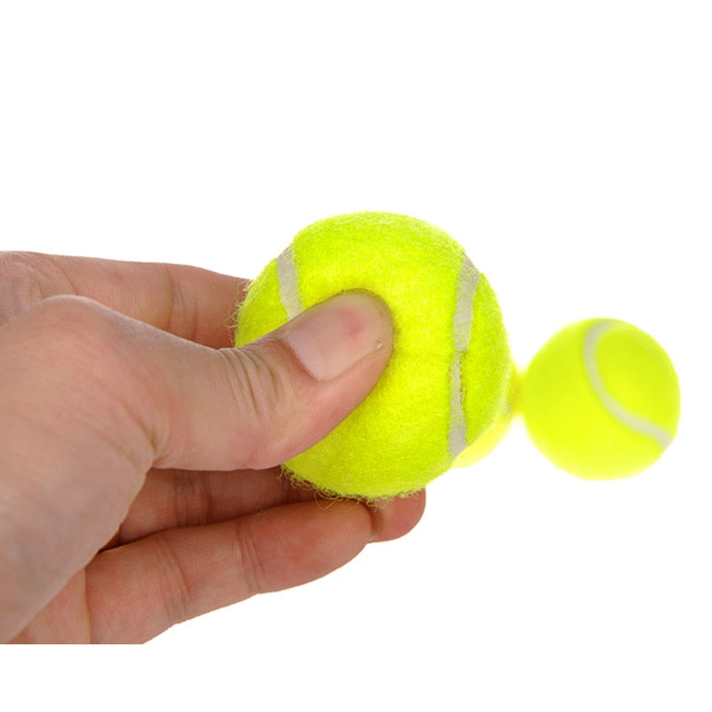 Six Tennis Balls Bite-resistant Dogs or Puppies.