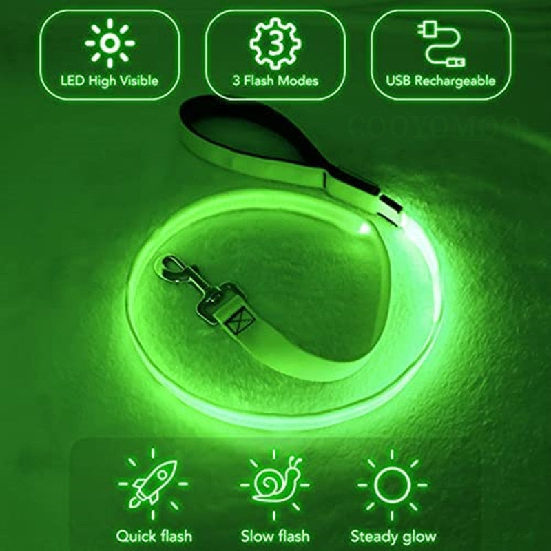 Glowing Led Dog Leash with USB Rechargeable Flashing Nylon Webbing Leash-3 Lighting Modes Keep Your Pets Safe in the dark