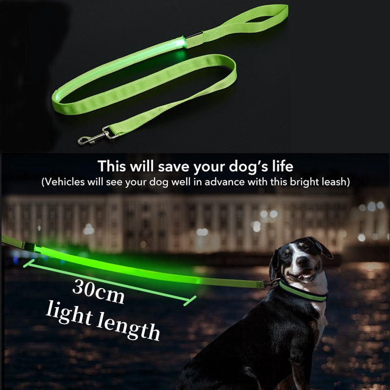 Glowing Led Dog Leash with USB Rechargeable Flashing Nylon Webbing Leash-3 Lighting Modes Keep Your Pets Safe in the dark