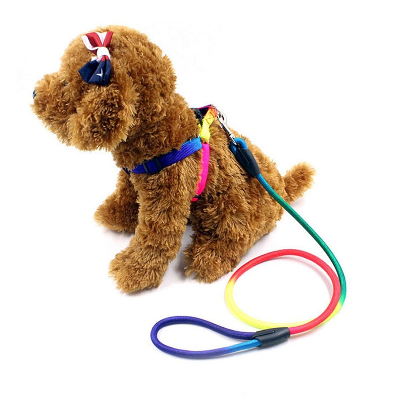 Rainbow Nylon Pet Dog Leash120CM Long for Walking Training Cats or Dogs.