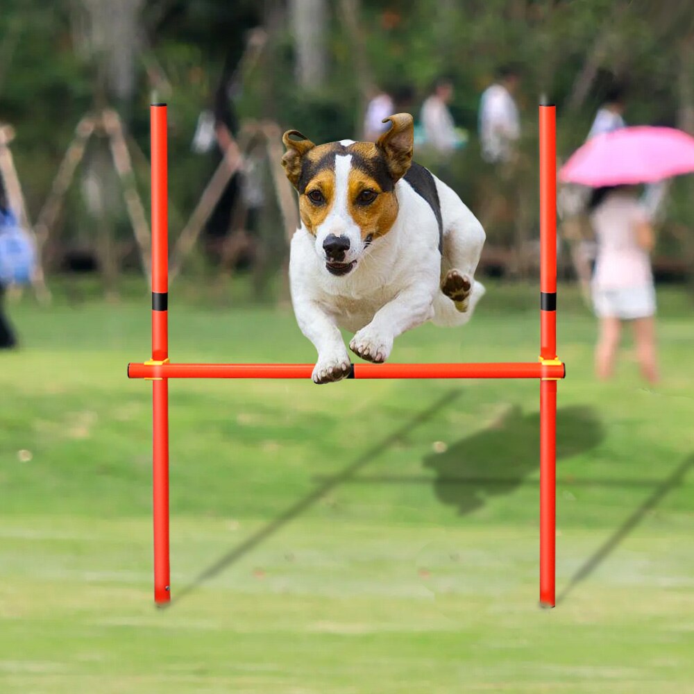 Dog Agility Equipment Portable Pet Training Jumping Outdoor Dogs Running Weaving Sports Stakes Pole