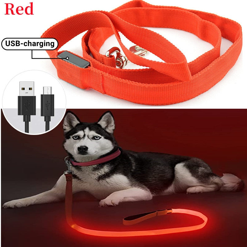 Glowing Led Dog Leash with USB Rechargeable Flashing Nylon Webbing Leash-3 Lighting Modes Keep Your Pets Safe in the dark