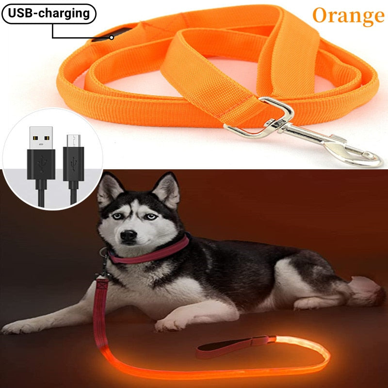 Glowing Led Dog Leash with USB Rechargeable Flashing Nylon Webbing Leash-3 Lighting Modes Keep Your Pets Safe in the dark