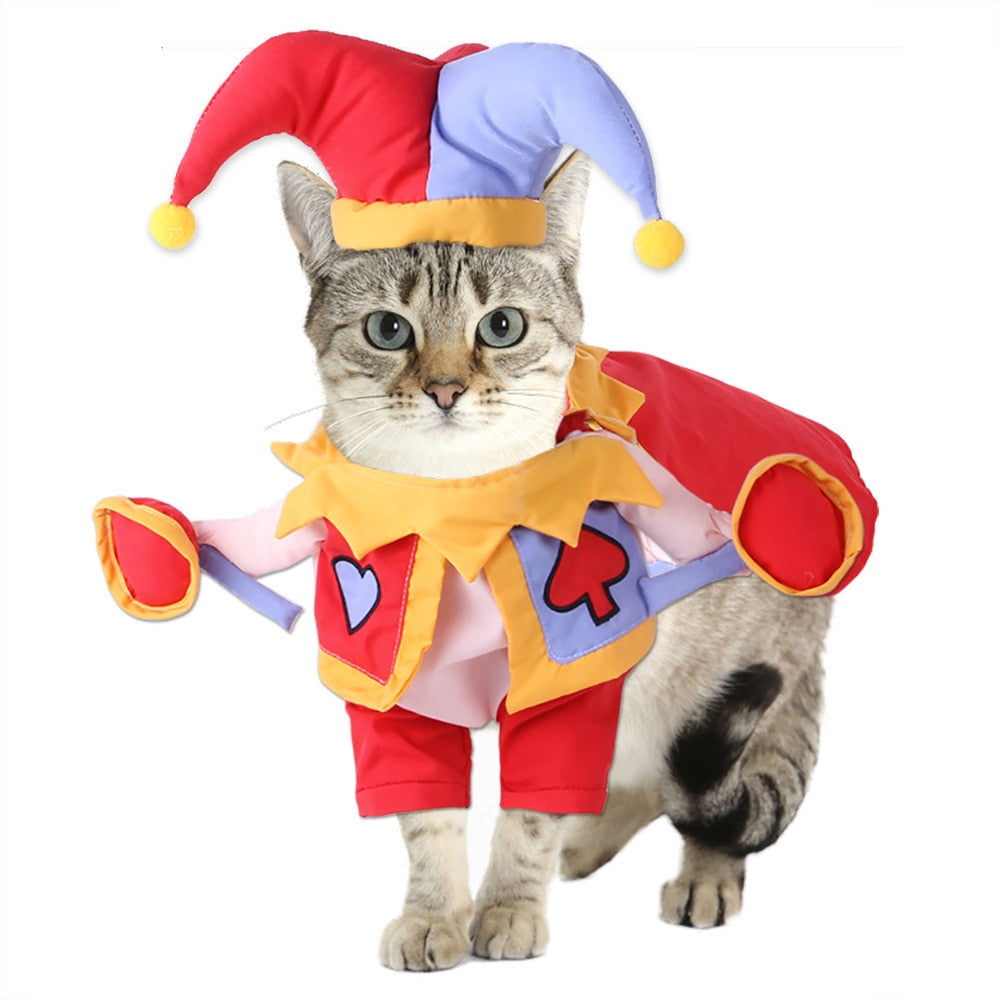 Cute Costumes for all occasions