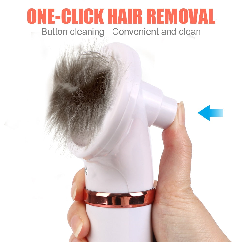 2 In 1 Pet hair dryer and beauty comb with low noise and adjustable temperature