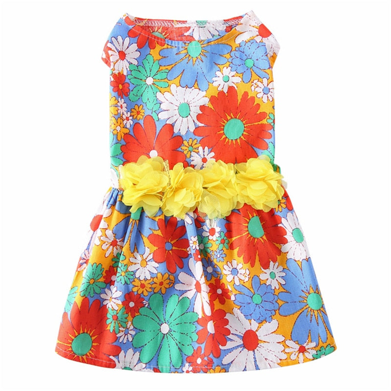 Summer Dress with Cute Print Skirt.