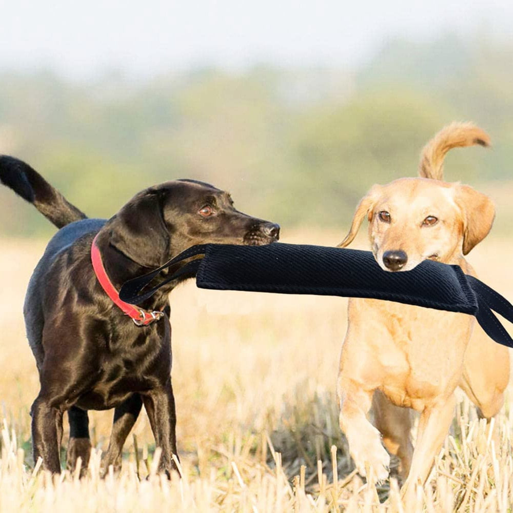 Tug Toy that is a Tough Jute Bite Pillow use it for play or Training