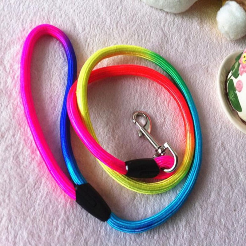 Rainbow Nylon Pet Dog Leash120CM Long for Walking Training Cats or Dogs.