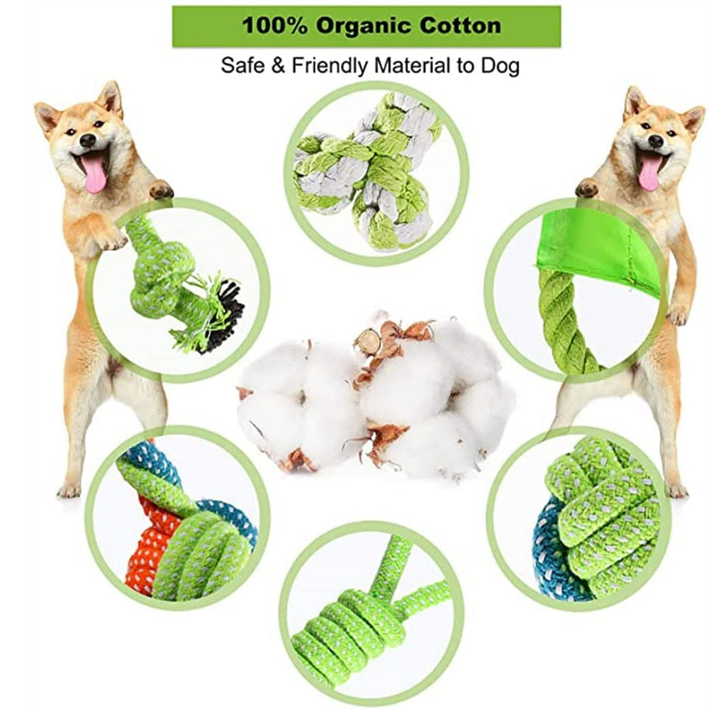 Nearly Indestructible Chew Toys