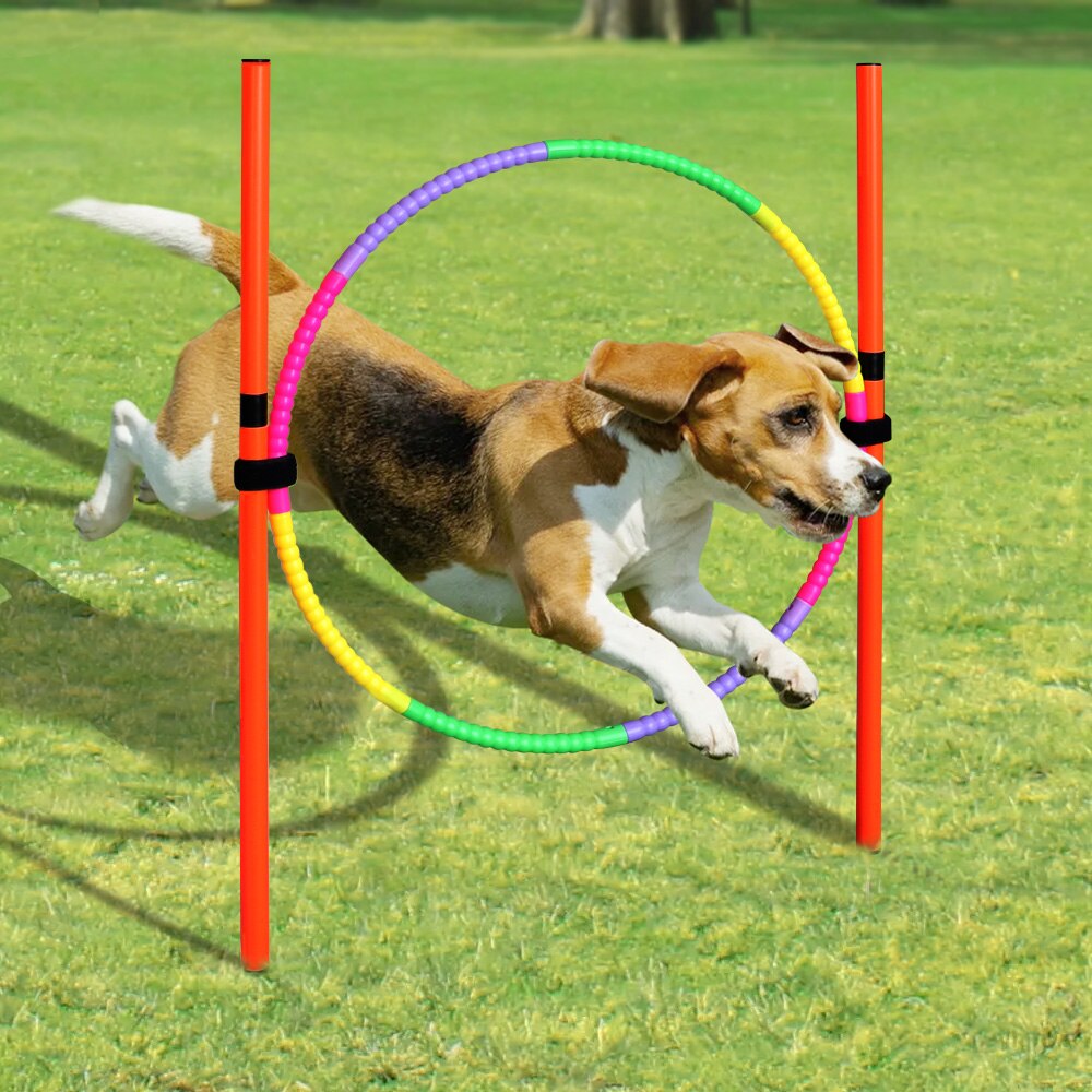 Dog Agility Equipment Portable Pet Training Jumping Outdoor Dogs Running Weaving Sports Stakes Pole