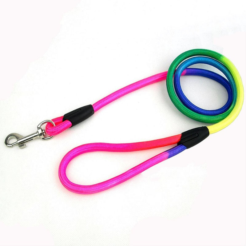 Rainbow Nylon Pet Dog Leash120CM Long for Walking Training Cats or Dogs.