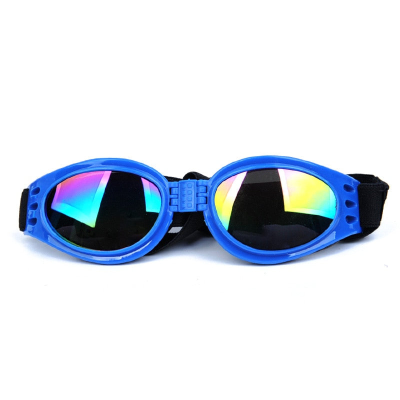 Your favorite best friend wearing these Folding Glasses that Prevent UV rays