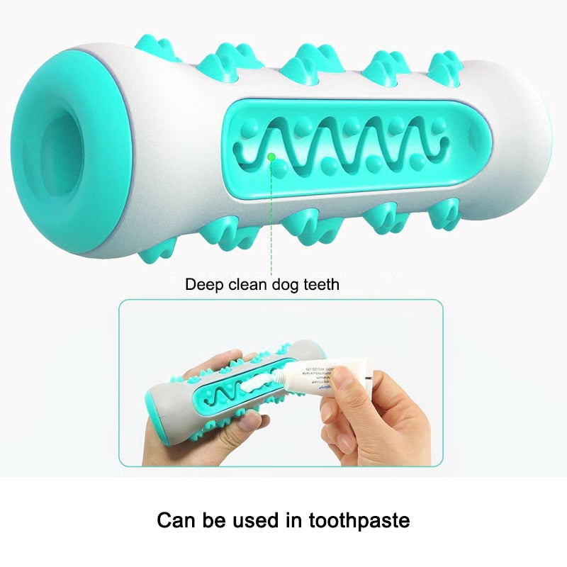 Molar Toothbrush Toy