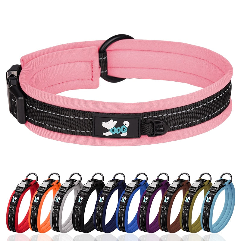 Safe Personalized Custom Engraved Name Reflective Collar.
