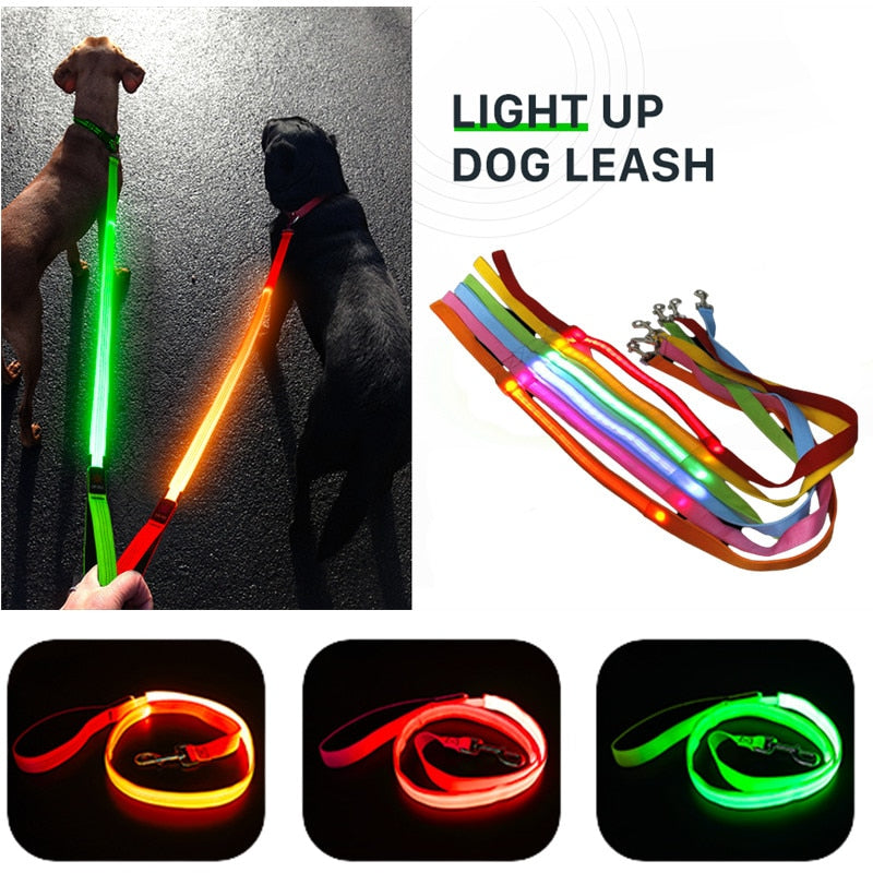 Glowing Led Dog Leash with USB Rechargeable Flashing Nylon Webbing Leash-3 Lighting Modes Keep Your Pets Safe in the dark