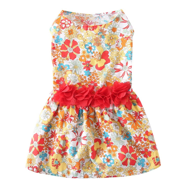 Summer Dress with Cute Print Skirt.