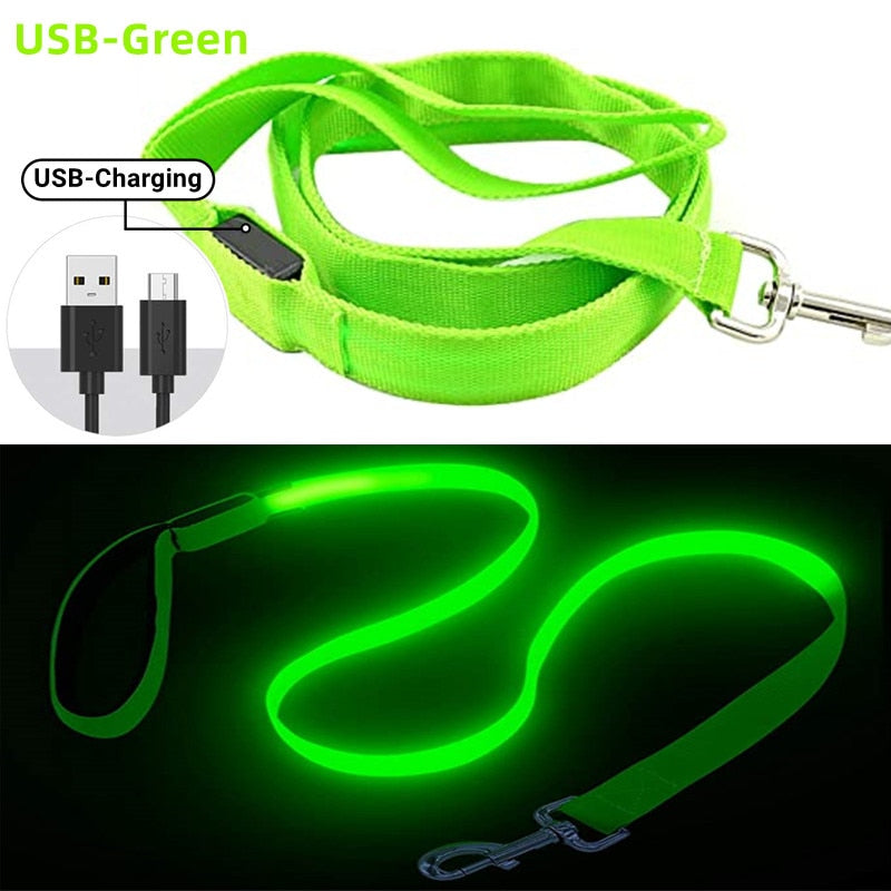 Glowing Led Dog Leash with USB Rechargeable Flashing Nylon Webbing Leash-3 Lighting Modes Keep Your Pets Safe in the dark