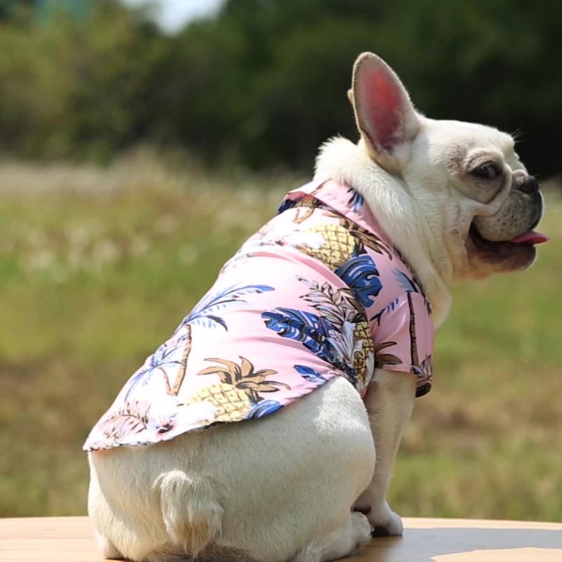 Hawaiian Style Summer Shirt