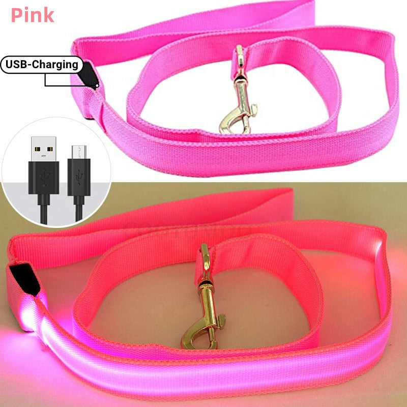 Glowing Led Dog Leash with USB Rechargeable Flashing Nylon Webbing Leash-3 Lighting Modes Keep Your Pets Safe in the dark