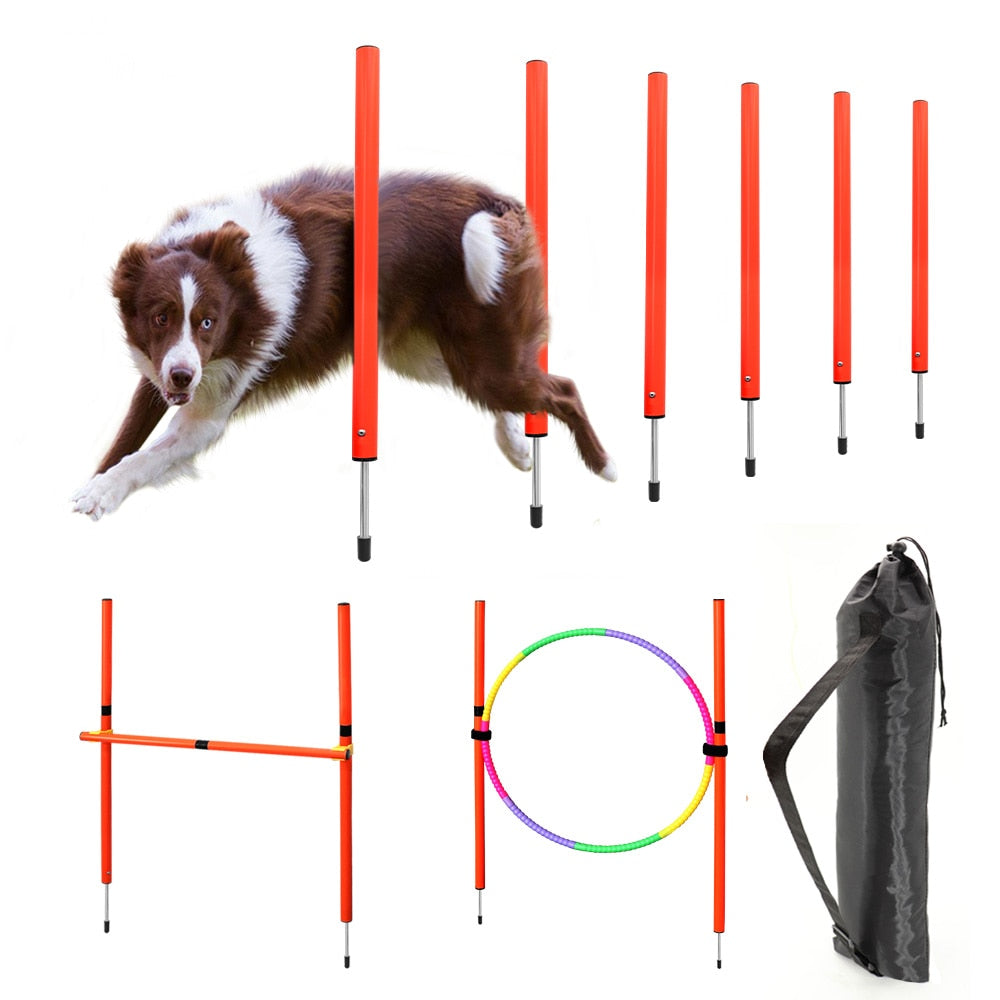 Dog Agility Equipment Portable Pet Training Jumping Outdoor Dogs Running Weaving Sports Stakes Pole