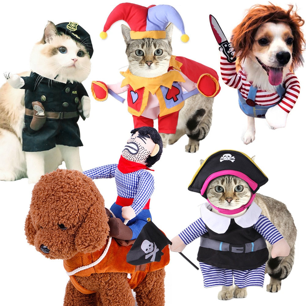 Cute Costumes for all occasions