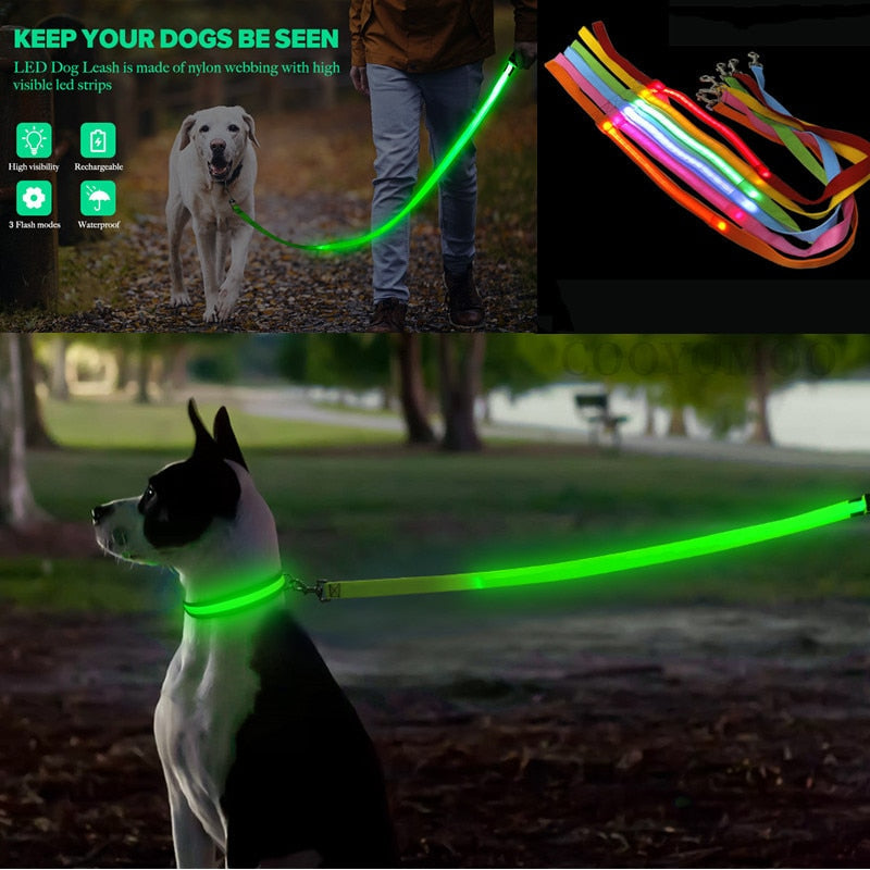 Glowing Led Dog Leash with USB Rechargeable Flashing Nylon Webbing Leash-3 Lighting Modes Keep Your Pets Safe in the dark